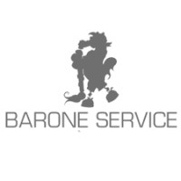Barone Service Srl logo - Similar company to Denver Srl