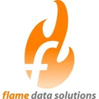 Flame Data Solutions logo - Similar company to Netants - Let'S Create Something Smart 🌱🐜
