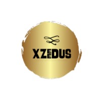 XZEEDUS logo - Similar company to Your Sandclock App