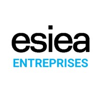 ESIEA logo - Similar company to Datacenter.Eu