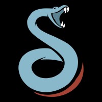 Sidewinder Volleyball Academy logo - Similar company to Ics Worldwide