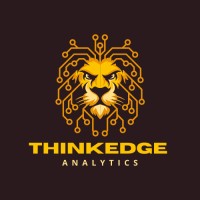 ThinkEdge Analytics logo - Similar company to Datapulse Insights