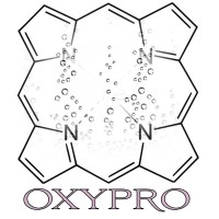 OXYPRO project logo - Similar company to Growth Hacker Br
