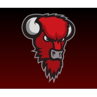 Bisons Loimaa logo - Similar company to Certum