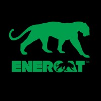 Enercat Technology logo - Similar company to Copeland Remote Sensing, Llc