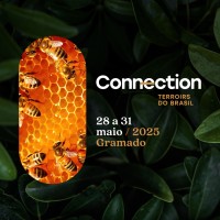 Connection Experience logo - Similar company to Chispa Studio