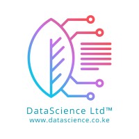 DataScience Ltd™ logo - Similar company to Technology Artitude