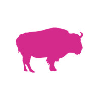 Pink Buffalo Films logo - Similar company to Frameriver