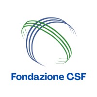 Fondazione CSF logo - Similar company to International Centre For Development And Democratic Transition