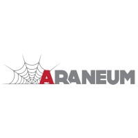 Araneum logo - Similar company to Memori