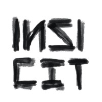 Inzicht Holding logo - Similar company to Sorgetech