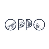 OPPO, LLC logo - Similar company to Colorking Uae