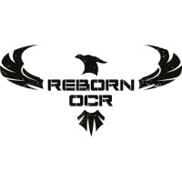 Reborn OCR logo - Similar company to Tecsys Denmark