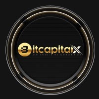 BitCapitalX logo - Similar company to Barin Mineral Token