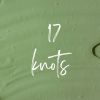 17knots logo - Similar company to Delta The Innovators®