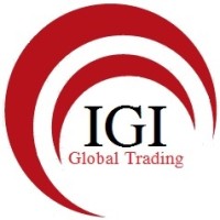Innovative Global Ideas Company Ltd. Thailand / Canada logo - Similar company to Codminal