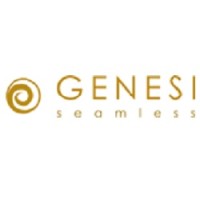 Genesi-Seamless Technology logo - Similar company to Nz.A/Studio