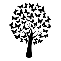 Transform Consulting Llc
