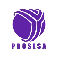 Prosesa Médica SA de CV logo - Similar company to Transformación Digital