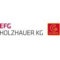 EFG HOLZHAUER KG logo - Similar company to Holzhauer Kg