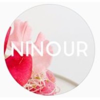Ninour logo - Similar company to Macaroni Event