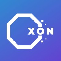 Octaxon logo - Similar company to Akm Solutions