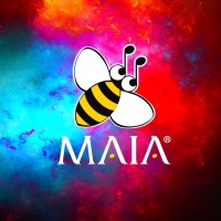 Maia Group Srl logo - Similar company to Rst