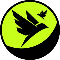Polybird Studio logo - Similar company to The S Bit - Training Reimagined