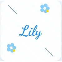 Crochet by Lily logo - Similar company to Build Myanmar
