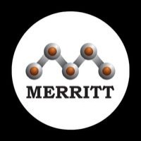 Merritt Innovative Solutions India Pvt Ltd logo - Similar company to Invibes