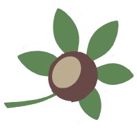 Aesculus logo - Similar company to Endosec Llc
