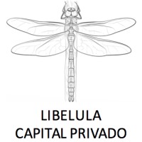 Libélula Capital Privado logo - Similar company to Byronmuller®