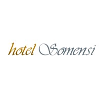 Hotel Somensi logo - Similar company to Hotel & Spa Do Vinho