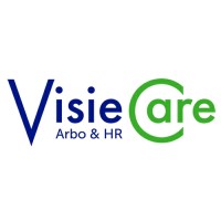 VisieCare Arbo & HR B.V. logo - Similar company to Eqfit Kidss Bv