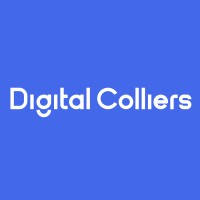 Digital Colliers logo - Similar company to Two Hundred
