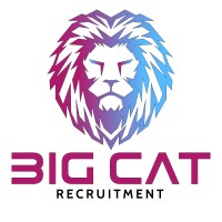 Big Cat Recruitment logo - Similar company to Hrzn Distribution Ltd