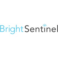 BrightSentinel Limited logo - Similar company to Bk Systems Gmbh
