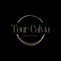 Tour Calvia logo - Similar company to Prestigevillas.Com