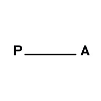 P.Andrade logo - Similar company to Lapô Sports