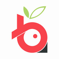theappberry logo - Similar company to Sms - Security Management Solution