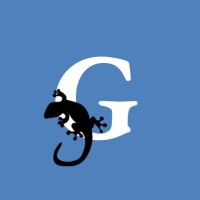 Gecko Company logo - Similar company to Amn Systems