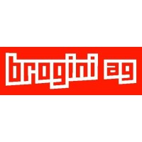 Brogini AG logo - Similar company to Baupartner Ag