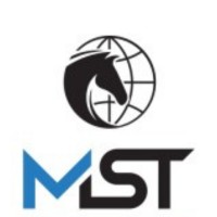 MST Media System Technologies logo - Similar company to Sbostats