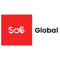 SOE GLOBAL logo - Similar company to Ftmsglobal Academy