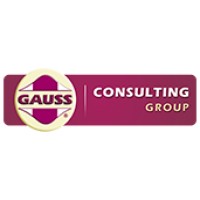 Gauss Consultores Associados logo - Similar company to 2Ri Group