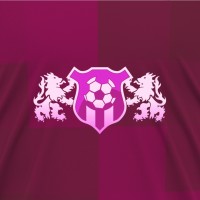 Pink Panthers FC logo - Similar company to Aditus