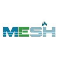 Mesh Srl logo - Similar company to Parotex