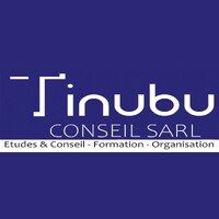 TINUBU CONSEIL logo - Similar company to Galaxy Conseils