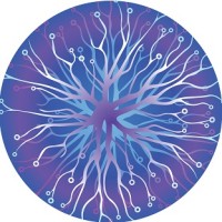 Concorta logo - Similar company to Faz Technology