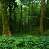 Understory Emails, Inc. logo - Similar company to Gseddy